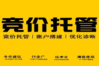 行业巨头的SEM广告投放策略揭秘